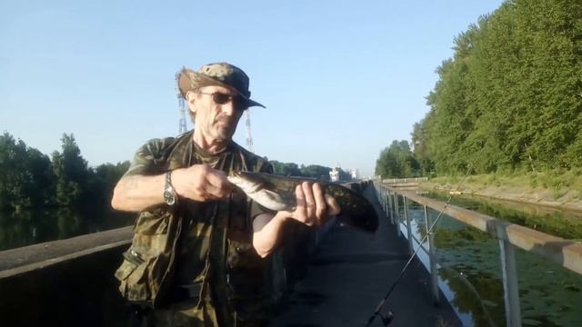 Сом на отводной поводок. Химкинское водохранилище. смотреть онлайн