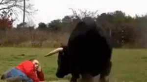 «Фердинанд» в реальной жизни