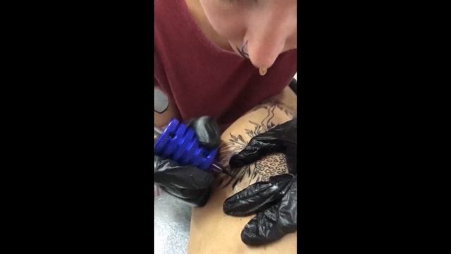 синеголовик смотреть онлайн