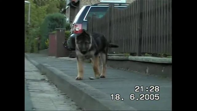 Stela 18 06 2005 смотреть онлайн