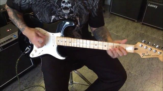 Fender Standard Stratocaster Black Maple - Daniel - Áurea - RS смотреть онлайн