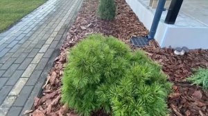 Ландшафтный дизайн от Геометрии Озеленения