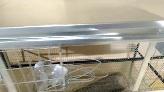 Обзор/Купить брудер для молодняка кур несушек Б.Ячейка Несушка№0 интернет магазин - Большой фермер смотреть онлайн