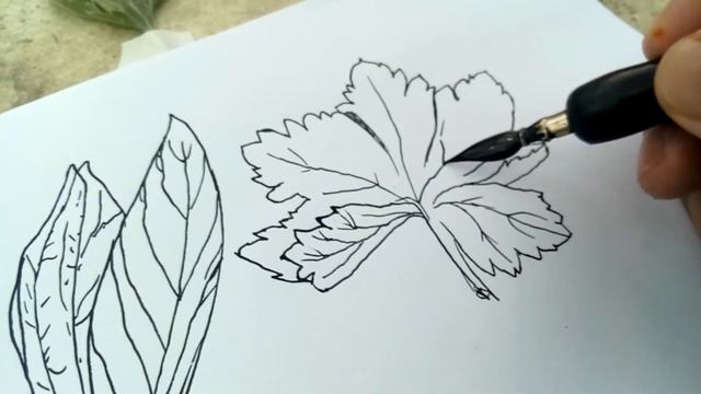 Рисование летних листиков на пленэре. смотреть онлайн