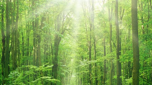 Глубокий сон, введение сна, сон, мозговые волны, исцеление, частота сольфеджио, музыка смотреть онлайн