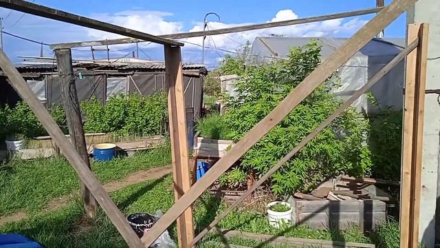 КАРКАС ДЛЯ БУДУЩЕГО ДОМИКА! **2 Часть** /Дом Школьника #4 смотреть онлайн