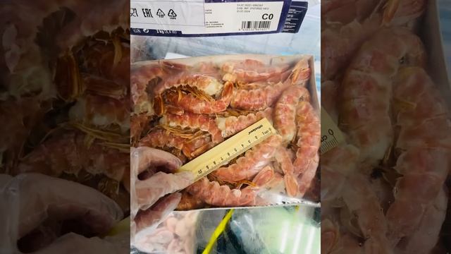 Лангустины в компании Рыбсток смотреть онлайн