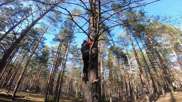 Трип в Йошкар-Олу. Озеро Яльчик, жареные сосиски, колесо обозрения и залезание на деревья. смотреть онлайн
