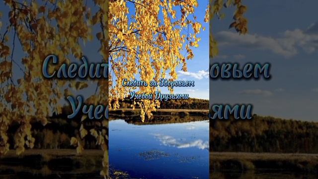 Стихотворение Очень Душевное Мне Жизнь Подарила смотреть онлайн