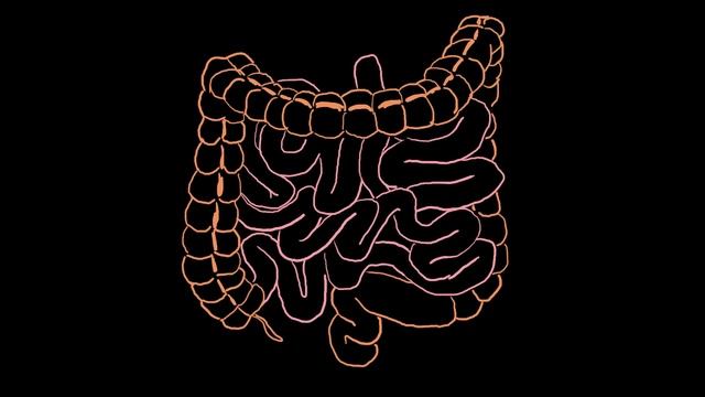 Metoclopramide Pharmacology