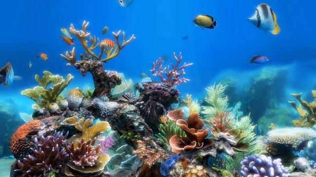 Красочный анимированный виртуальный аквариум | Подводный мир | Экзотика | Релакс | Screensaver смотреть онлайн