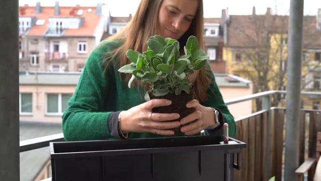 Кашпо Lechuza Balconera Stone смотреть онлайн