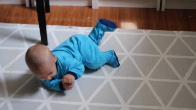 Not Your Regular Bookshelf Tour | 1100 Books, 14 Bookcases | 2020 Bookshelf Tour смотреть онлайн