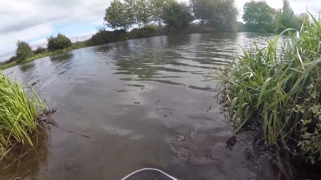 3 Pike in 10 minutes! Autumn pike fishing смотреть онлайн