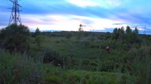 Коп Металла в Заброшенной Военной Части