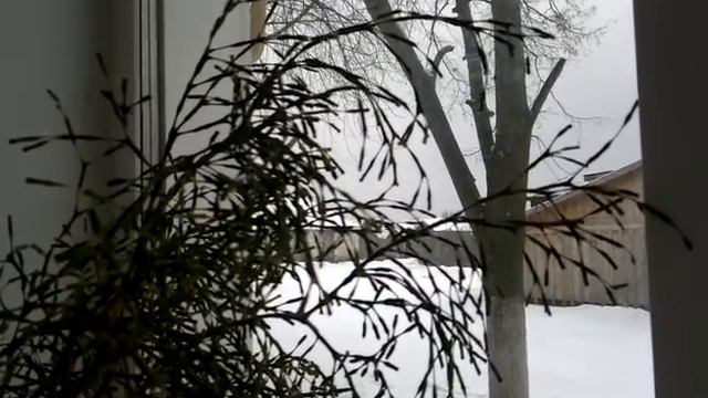 Снег идёт романс Не говори мне о любви... смотреть онлайн