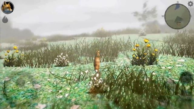 Симулятор Маленькой Лисы #1 Лисенок Кид против Босса Енота в Ultimate Fox Simulator 2 на пурумчата смотреть онлайн