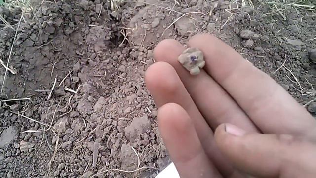 Шурф . Старинные серёжки с камнями. смотреть онлайн