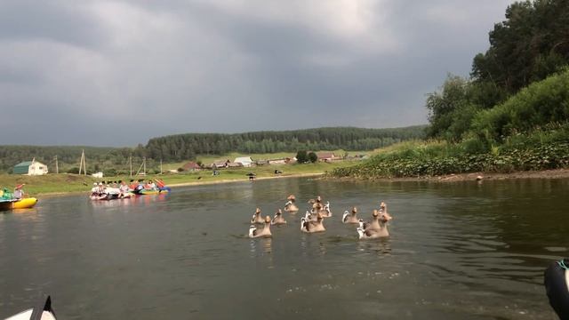 Сплав по реке Ай от Игротека-Уфа, организатор Оксана Лысенко. смотреть онлайн