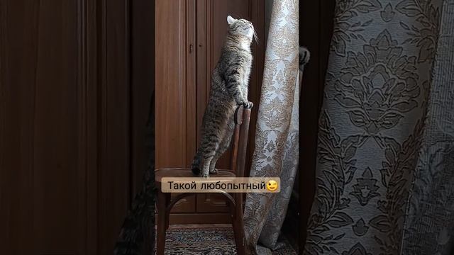 На своих двоих!.mp4