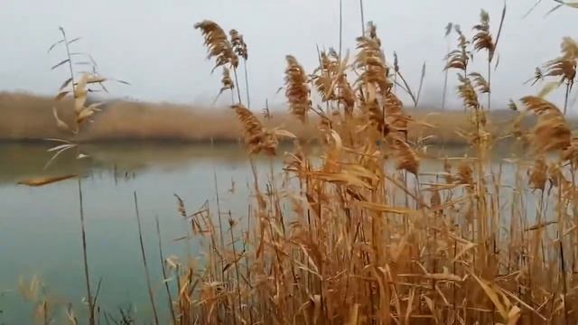 Путешествие по Александровском району смотреть онлайн