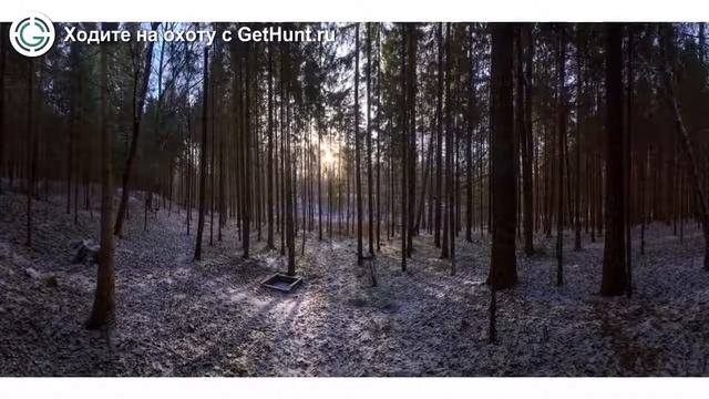 Охота в Тульской области – Охотничье хозяйство «Ненашевское» Тульская РОООиР охота на вальдшнепа смотреть онлайн
