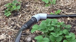 УМНЫЕ ПОЛИВЫ ДЛЯ ЖАРКИХ ЗОН