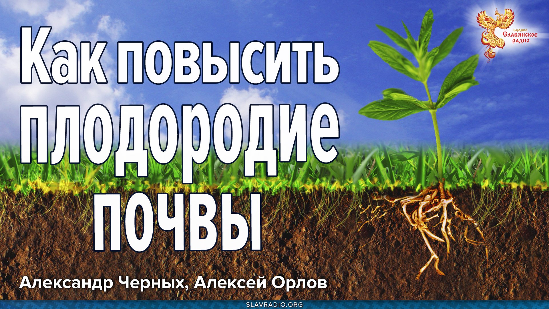 Как повысить плодородие почвы