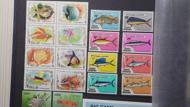 ФАУНА. Морской альбом ч.1