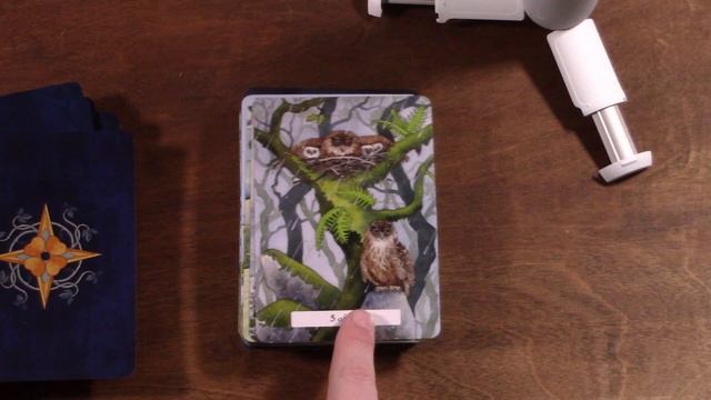 Review: Witches Wisdom Tarot смотреть онлайн