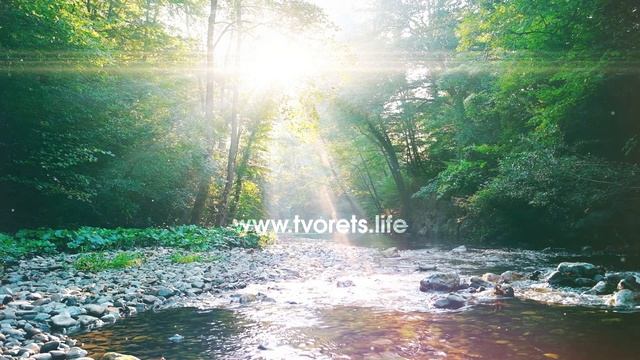 Практика взаимодействия со святой водой и источниками смотреть онлайн