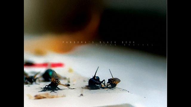 Pandora's Black Book - Dark Passenger смотреть онлайн