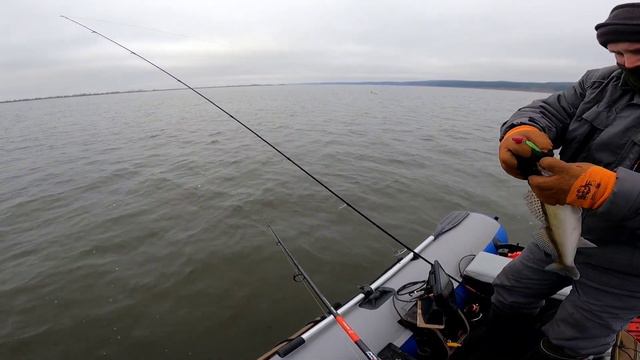 р. Кама, Красный Бор, 12.11.23 смотреть онлайн