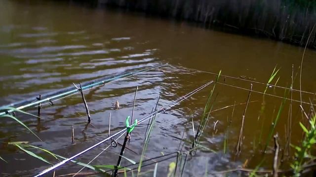 Ловля карася на пружину. Поклевки крупного карася. смотреть онлайн