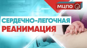 Базовая сердечно-легочная реанимация. Курсы первой помощи