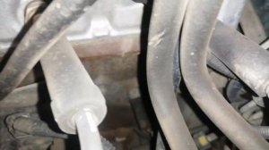 Номер двигателя посмотреть легко нива и шевроле нива