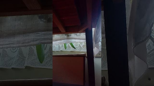 ррр смотреть онлайн