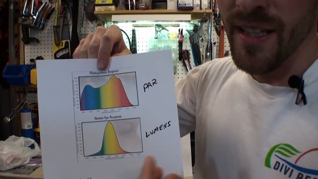 White LED vs Red/Blue LED Grow light Grow Test - Part 1 (Educational) 2016 смотреть онлайн