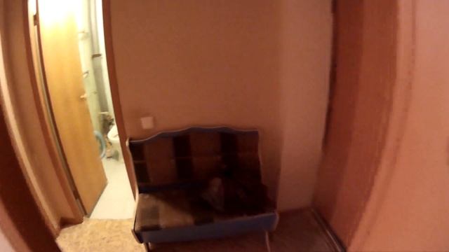 1 комнатная квартира Крутые ключи мкр 17 Код 3347 смотреть онлайн