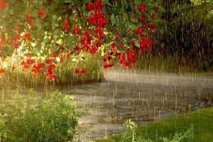 Игорь Тальков "Летний дождь" (1991) #игорьтальков #эстрада90 #песни90х