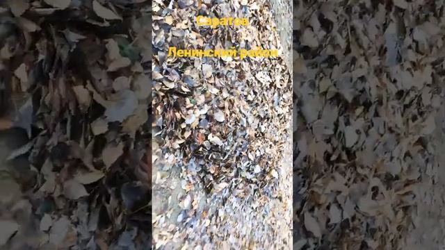 Убираюсь в Саратове - Ленинский район , где уборщики ? смотреть онлайн