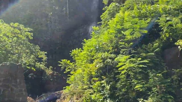 Exploring Kauai! Surfing, Hiking and Snorkeling with 3 Little Kids смотреть онлайн