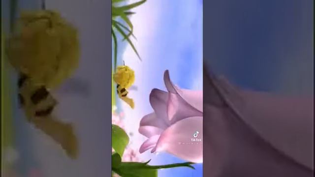 Поздравляю всех с новым учебным годом ❤️ смотреть онлайн