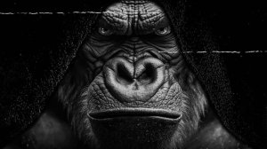 [ Eminem, 2Pac ] ☠️ Gangster Rap Mix 2023 ☠️ Best Gangster Underground Hip Hop Music 2023