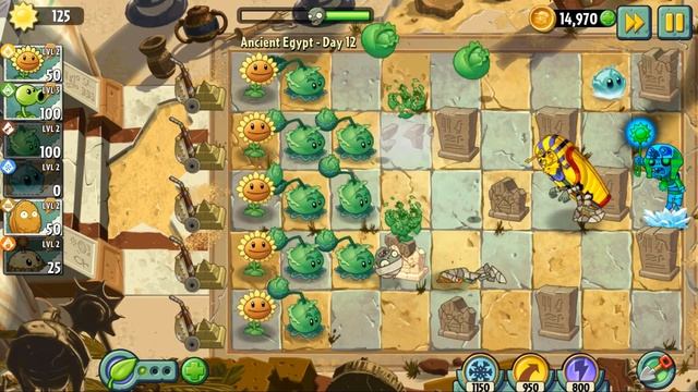 Новое растение, боксёр. Plants vs Zombis 2 ( Растения против зомби 2) смотреть онлайн