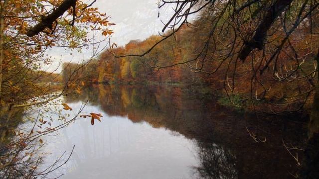 Canon PowerShot sx530 hs, Amazing Sample Photos Test. Beautiful Autumn in Chellow Dene Bradford смотреть онлайн