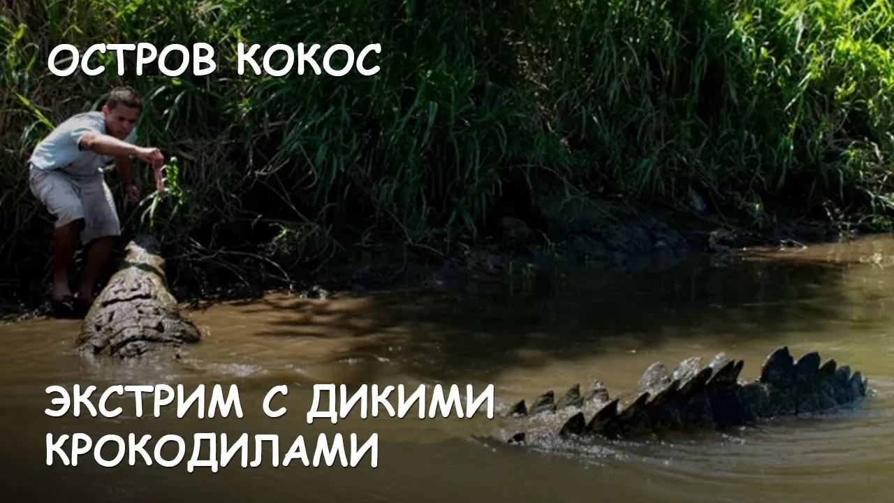 Мир Приключений - Экстремальный контакт человека с дикими крокодилами. смотреть онлайн
