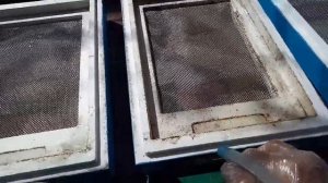 Дезинфекция пеноуликов.