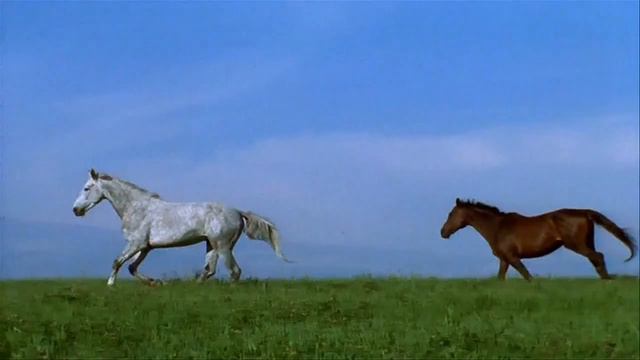 КРАСИВЫЙ ФУТАЖ С МУЗЫКОЙ - ВОЛЬНЫЕ КОНИ В ДАЛИ - МОЖНО СКАЧАТЬ! смотреть онлайн