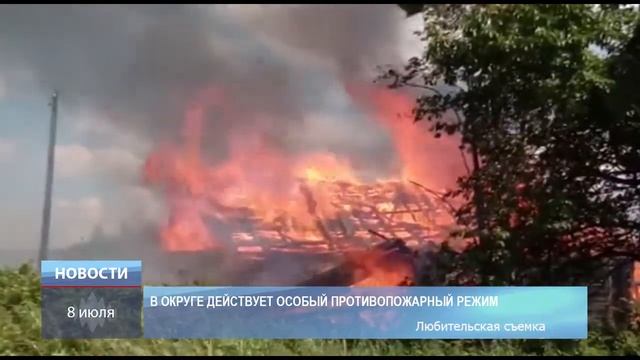 Теплые впечатления